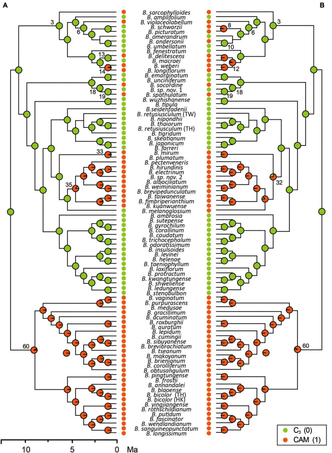 FIGURE 2