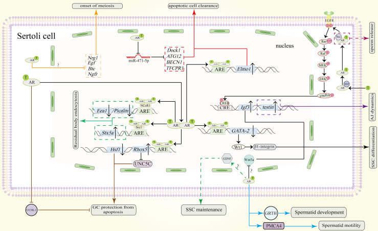 Figure 3