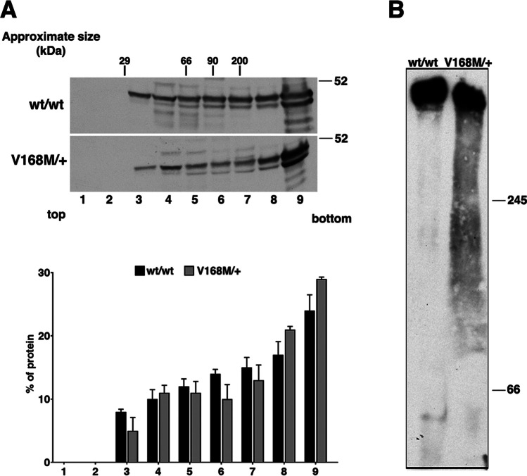 Fig. 3