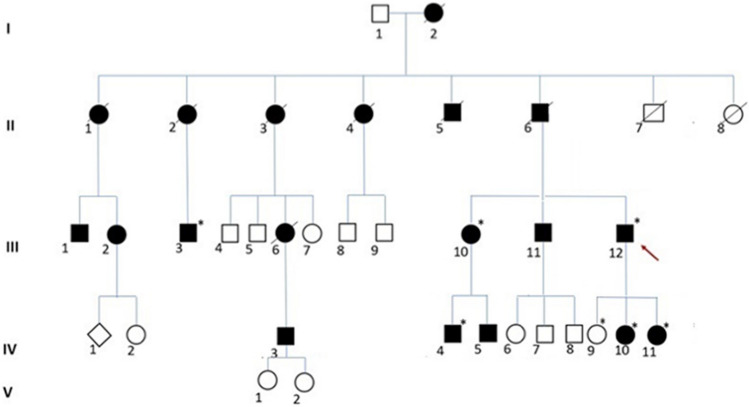 Fig. 1