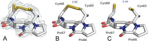 FIGURE 4.