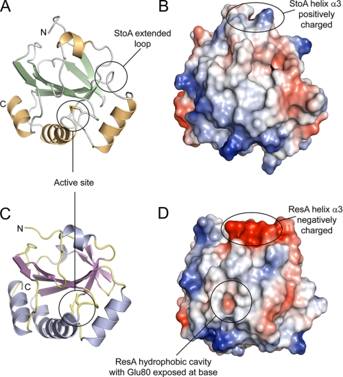 FIGURE 9.