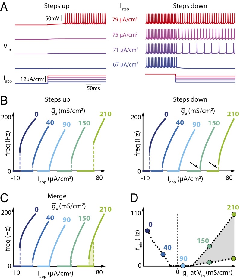 Fig. 4.