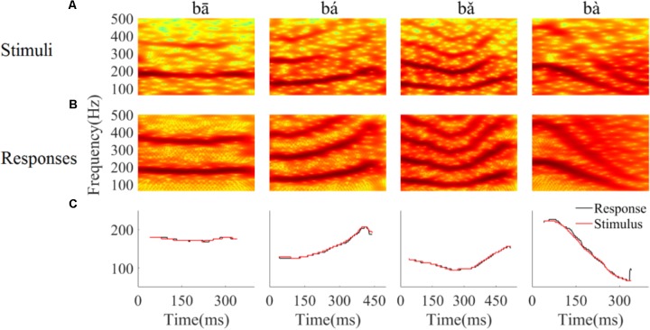 FIGURE 4