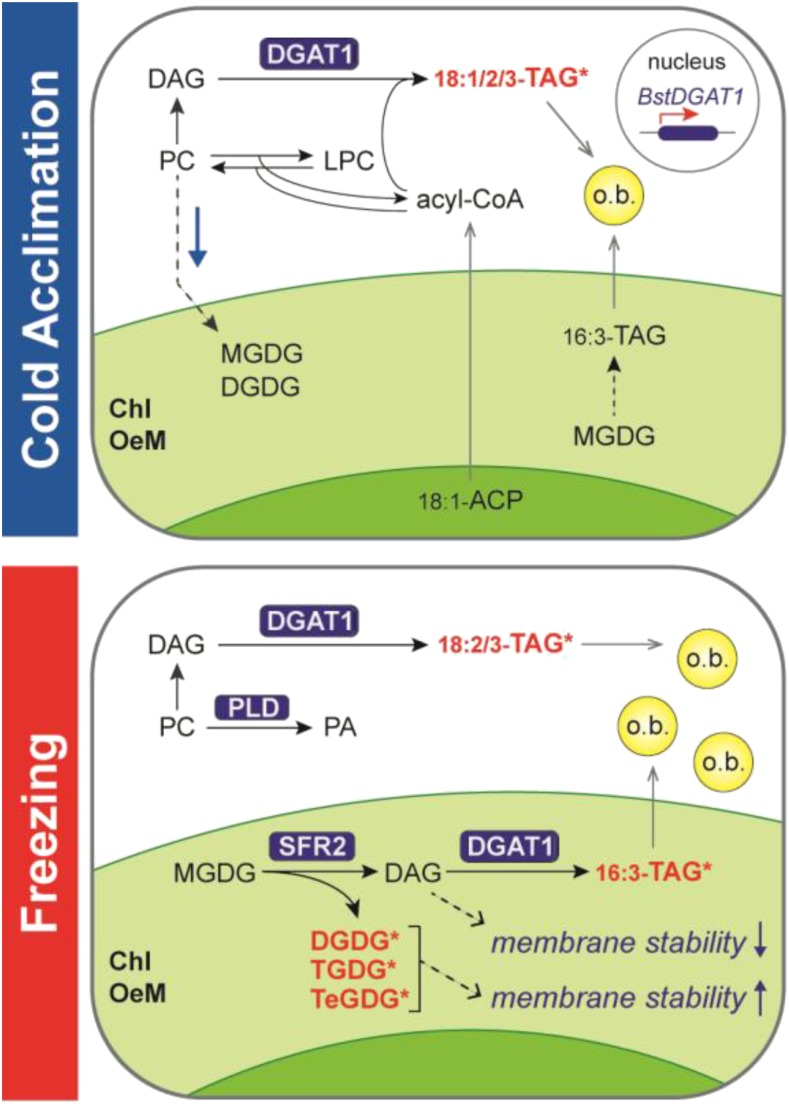 Figure 10.