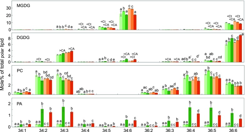 Figure 5.