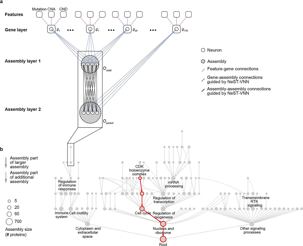 Extended Data Fig. 1 |