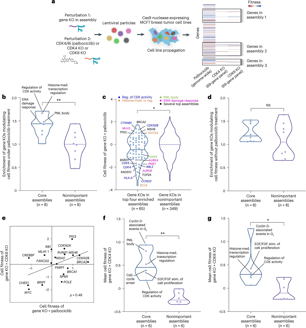 Fig. 4 |