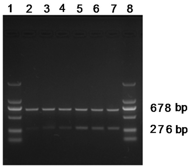 Figure 4.