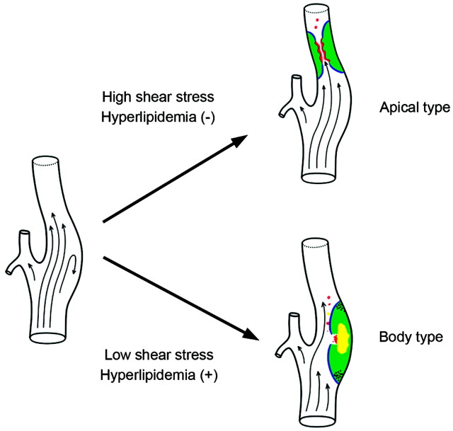 Fig 6.