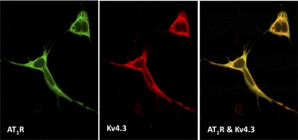 Fig. 4.