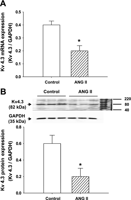 Fig. 5.