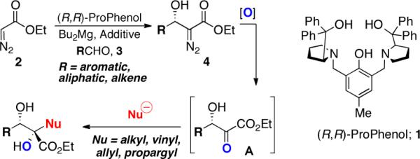 Scheme 1