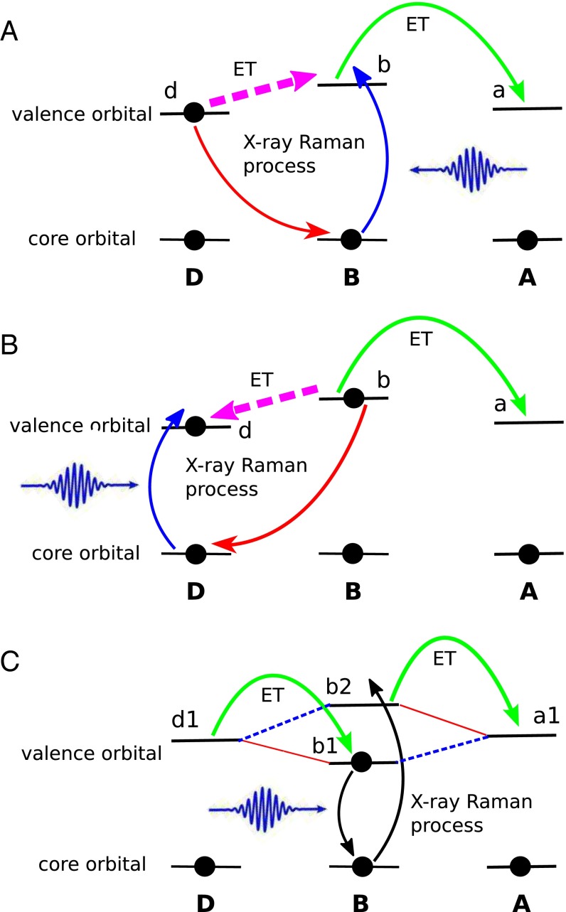 Fig. 5.