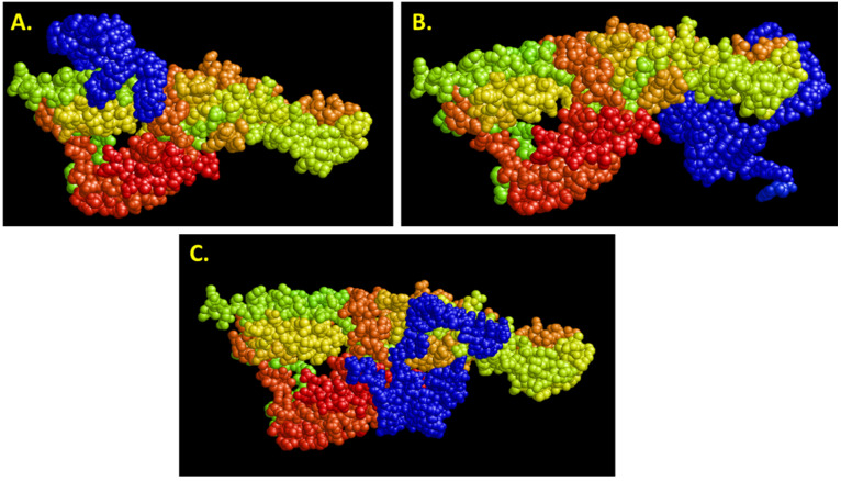 Figure 11