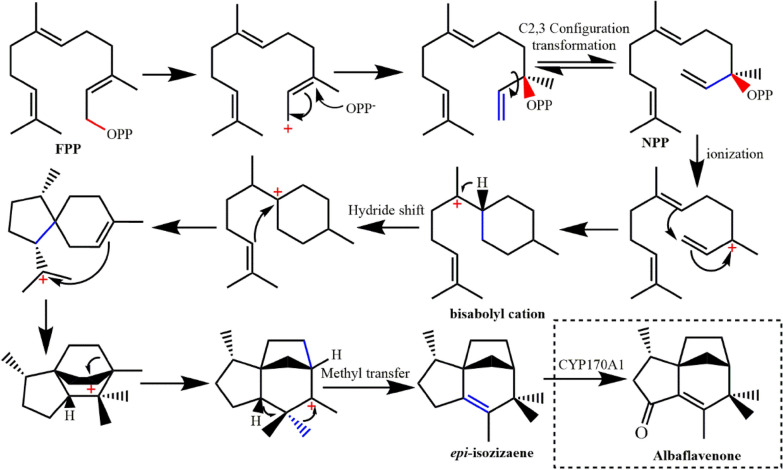 Fig. 10