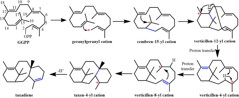 Fig. 13