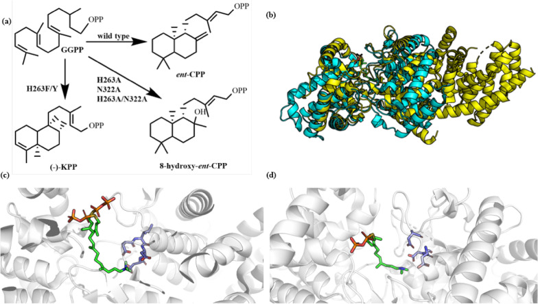 Fig. 18