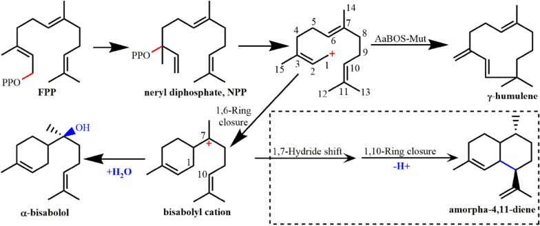 Fig. 9