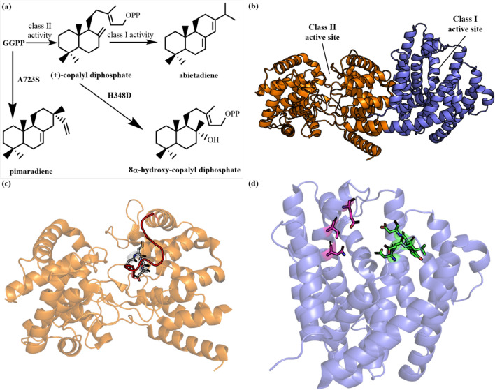 Fig. 20