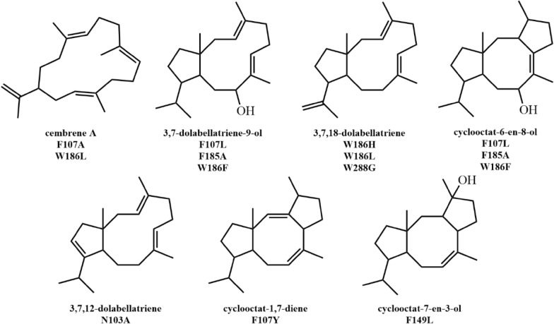 Fig. 16