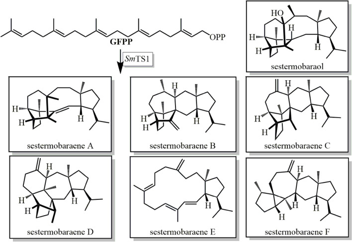 Fig. 17