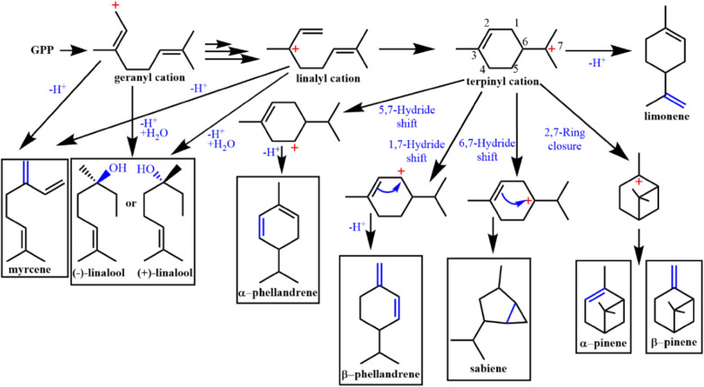 Fig. 7