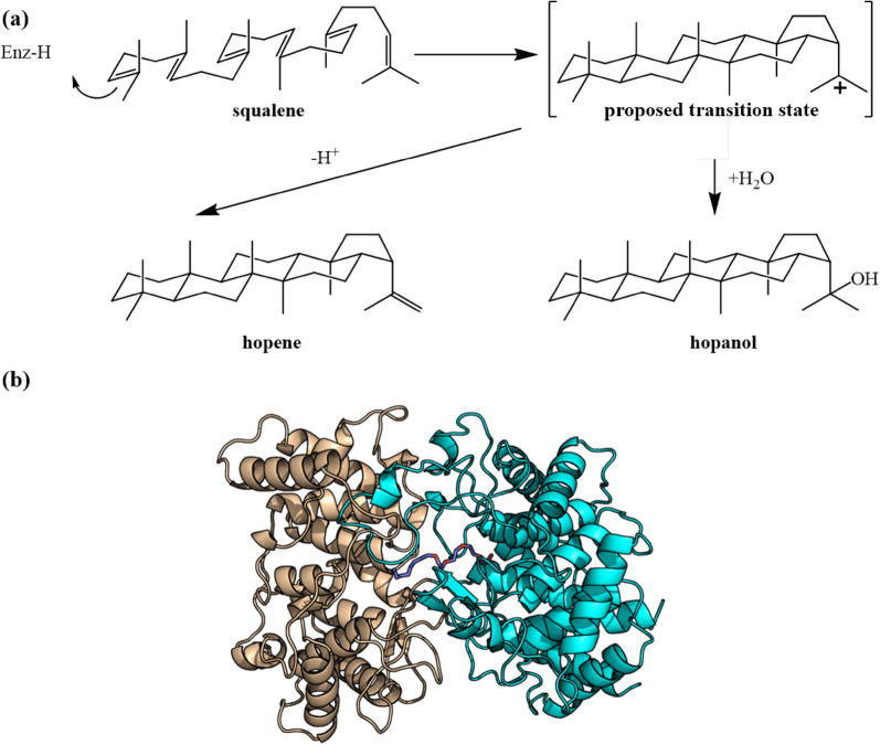 Fig. 19