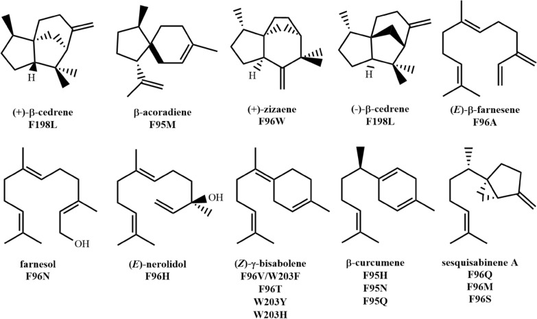 Fig. 12