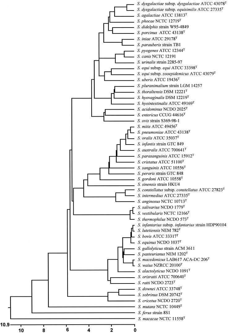 FIG. 1.