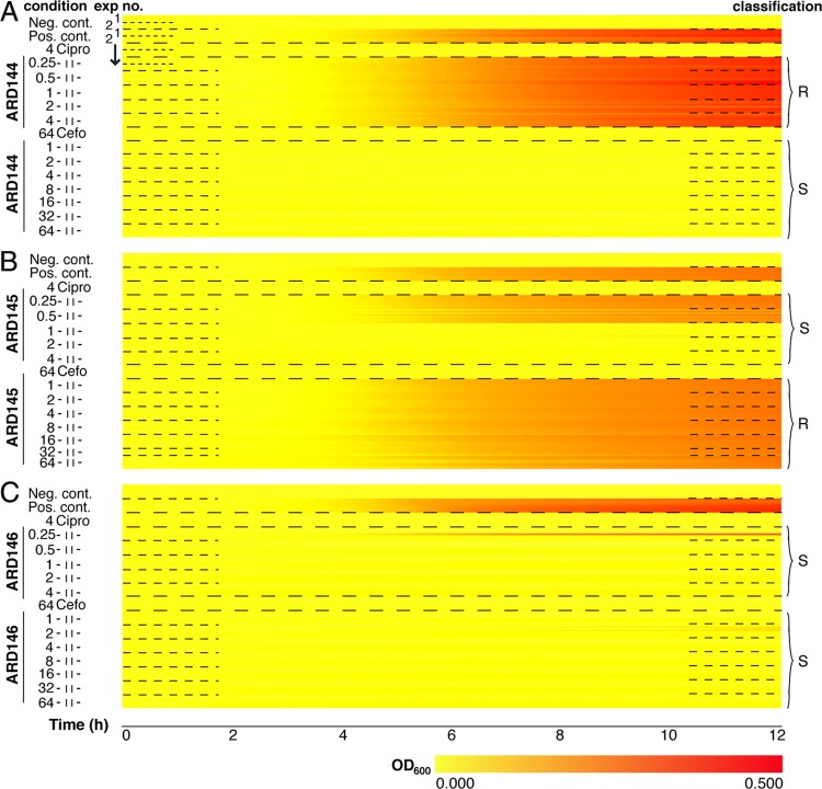 FIG 4