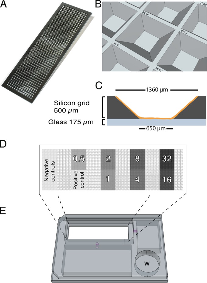 FIG 1