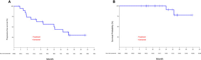 Figure 3