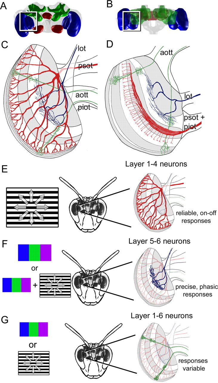 Figure 9.