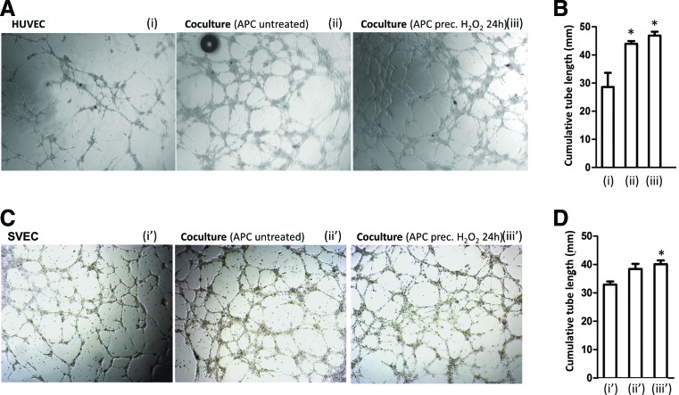 FIG. 7.