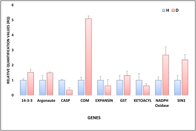 Fig 6