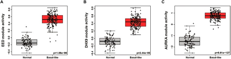 FIGURE 3