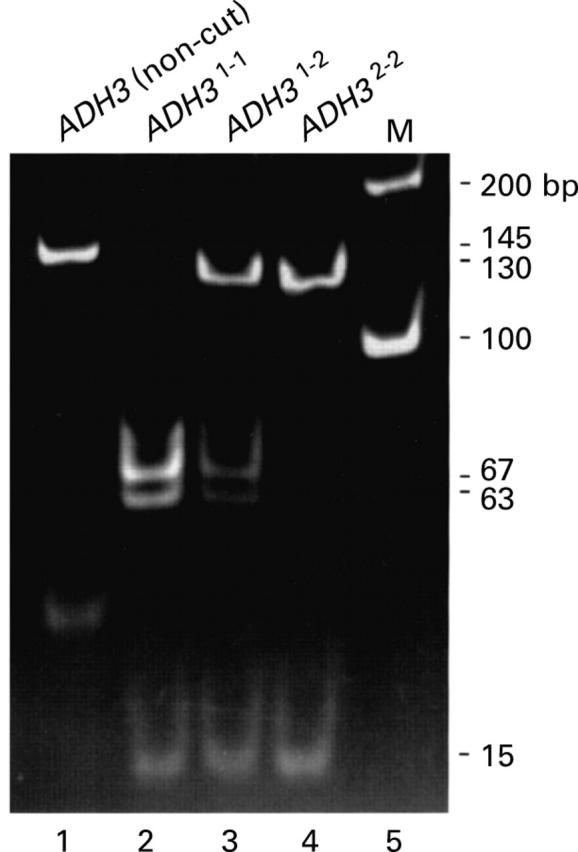 Figure 3  