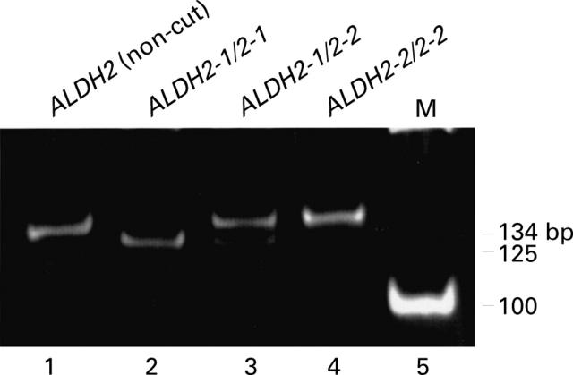 Figure 4  