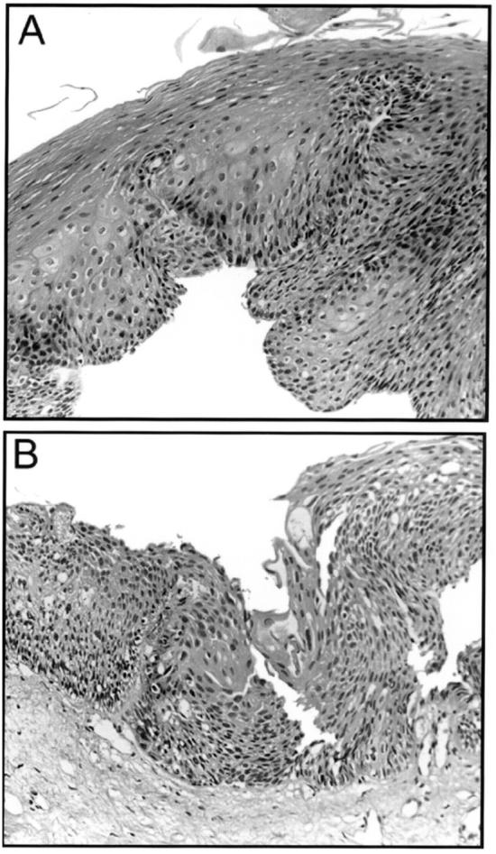 Figure 2  