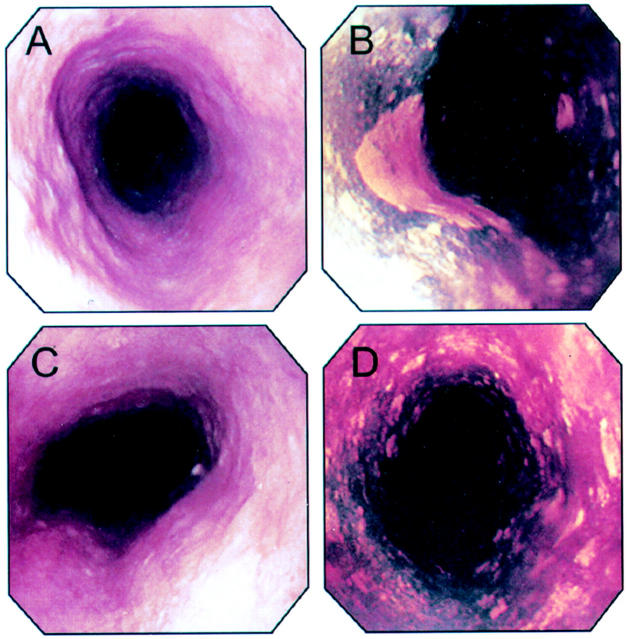 Figure 1  