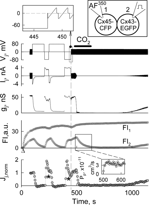 Fig. 3.