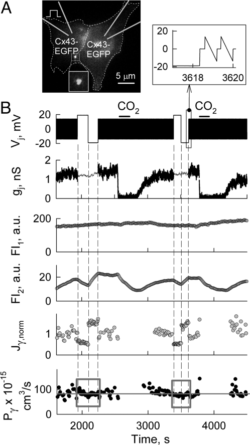 Fig. 2.