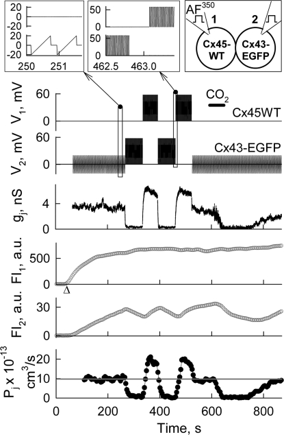 Fig. 6.