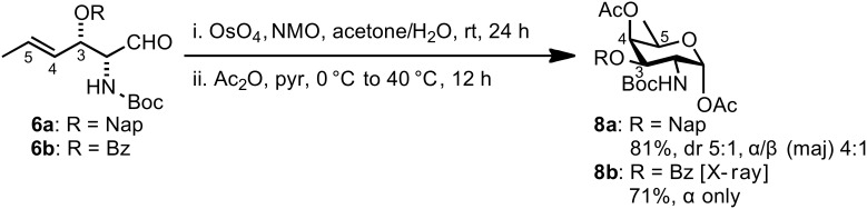 Scheme 3