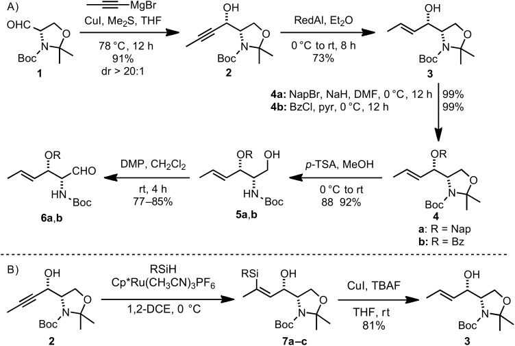 Scheme 2