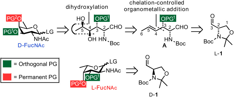 Scheme 1