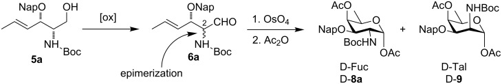 Scheme 4