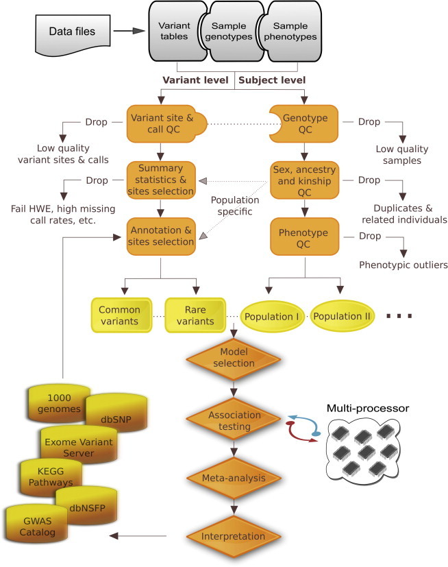 Figure 1