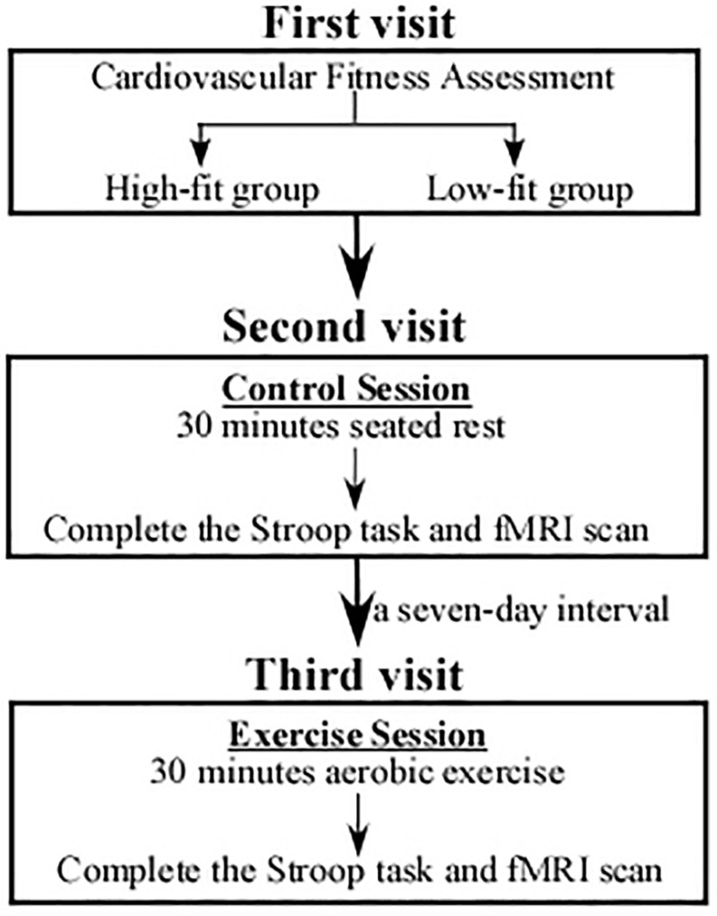 FIGURE 1